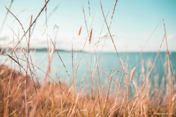 Koronavirüs'e Karşı Duygusal ve Ruhsal Zindeliği Arttırmanın Yolları Plume Mag