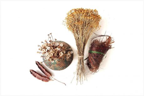 Doğa Dostu Butik Tasarım Markaları