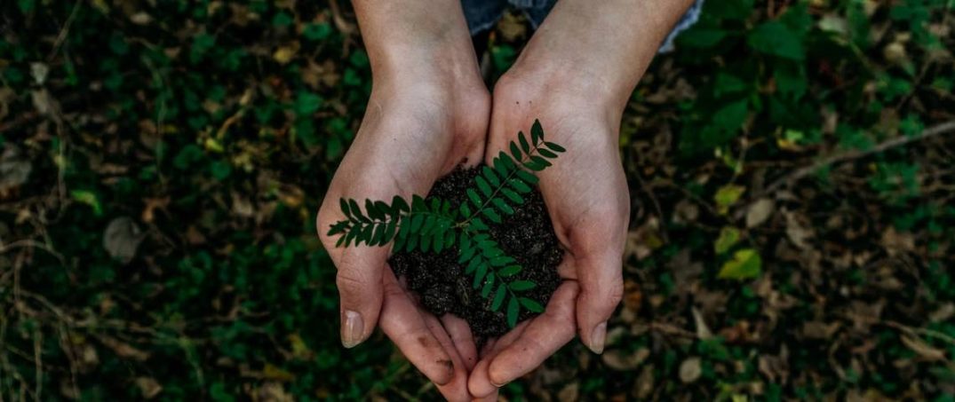 Dünyanın En Çevreci Ülkeleri Hangileri? Çevre Dostu 10 Ülke