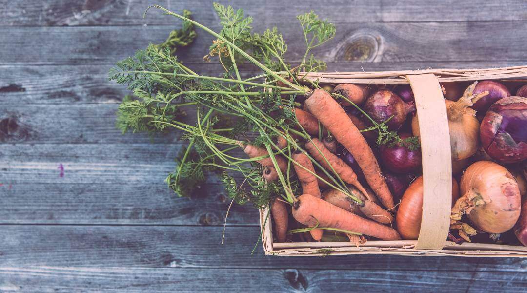 Sürdürülebilir Öneriler: Etiket