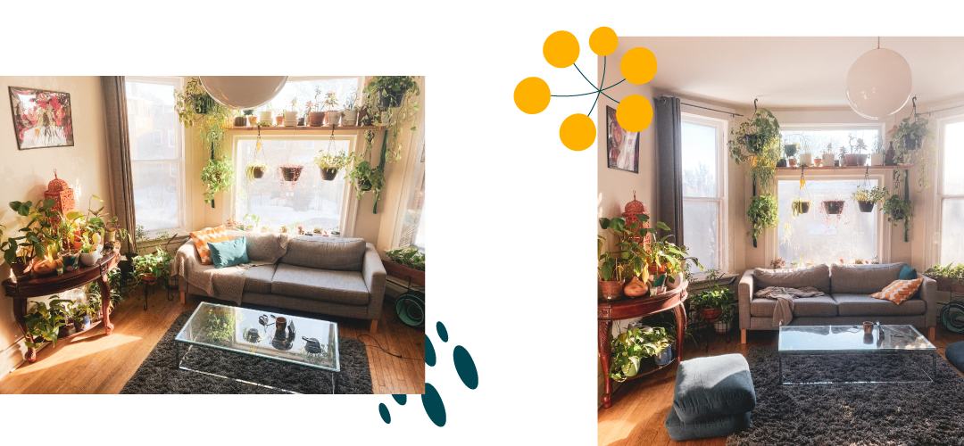 küçük evlerin dekorasyonu