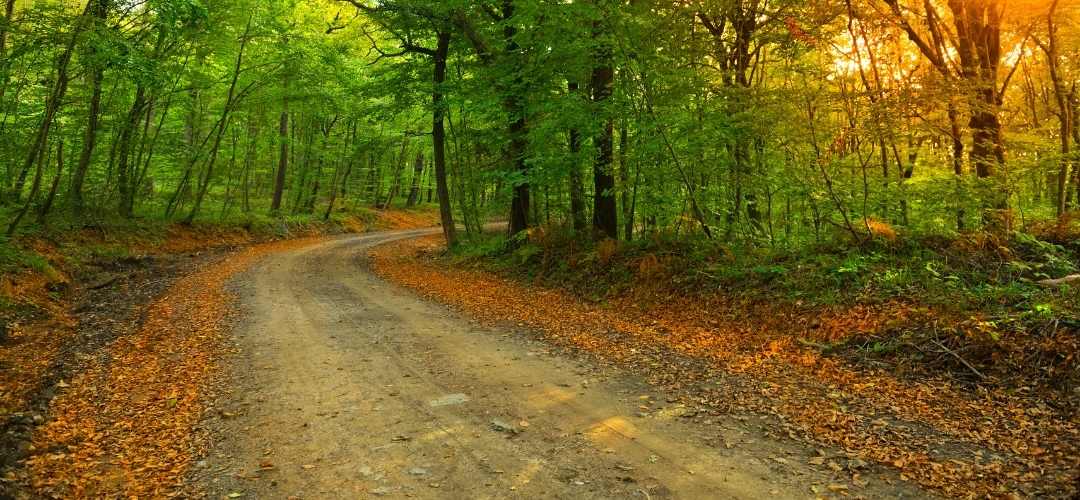 istanbul yürüyüş