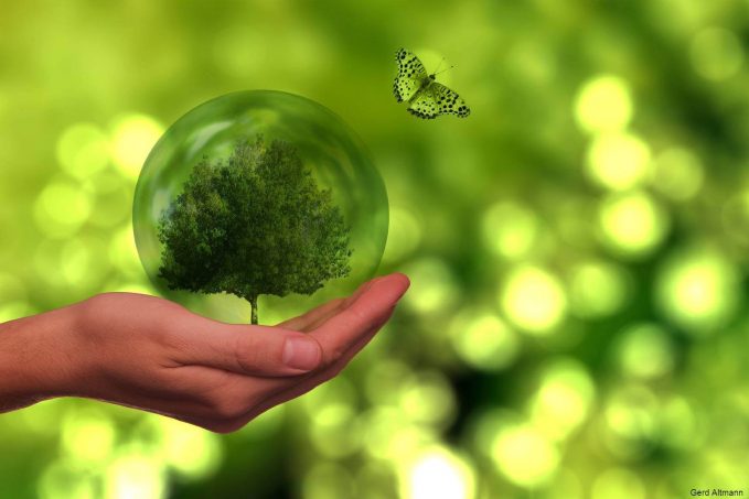 Ekolojik Okuryazarlık İçin Ekoloji Terimleri Sözlüğü 3