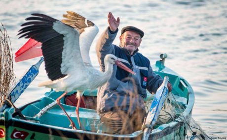 Kentlinin Doğa Güncesi Mart Gözlemleri: Yaren Leylek ve Adem Amca