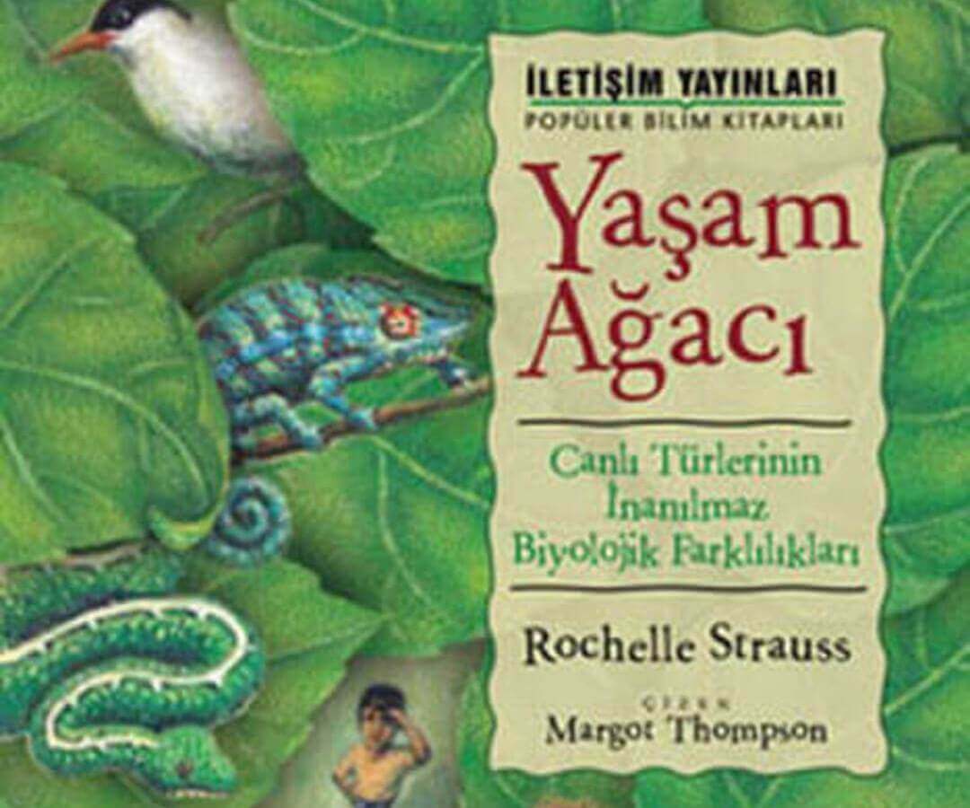 Yaşam Ağacı