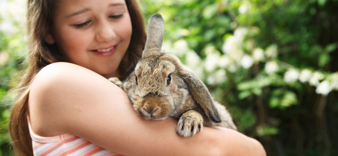 Hayvanlar üzerinde deney yapmayan markalar