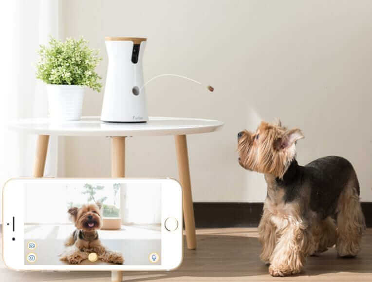 furbo köpek kamerası