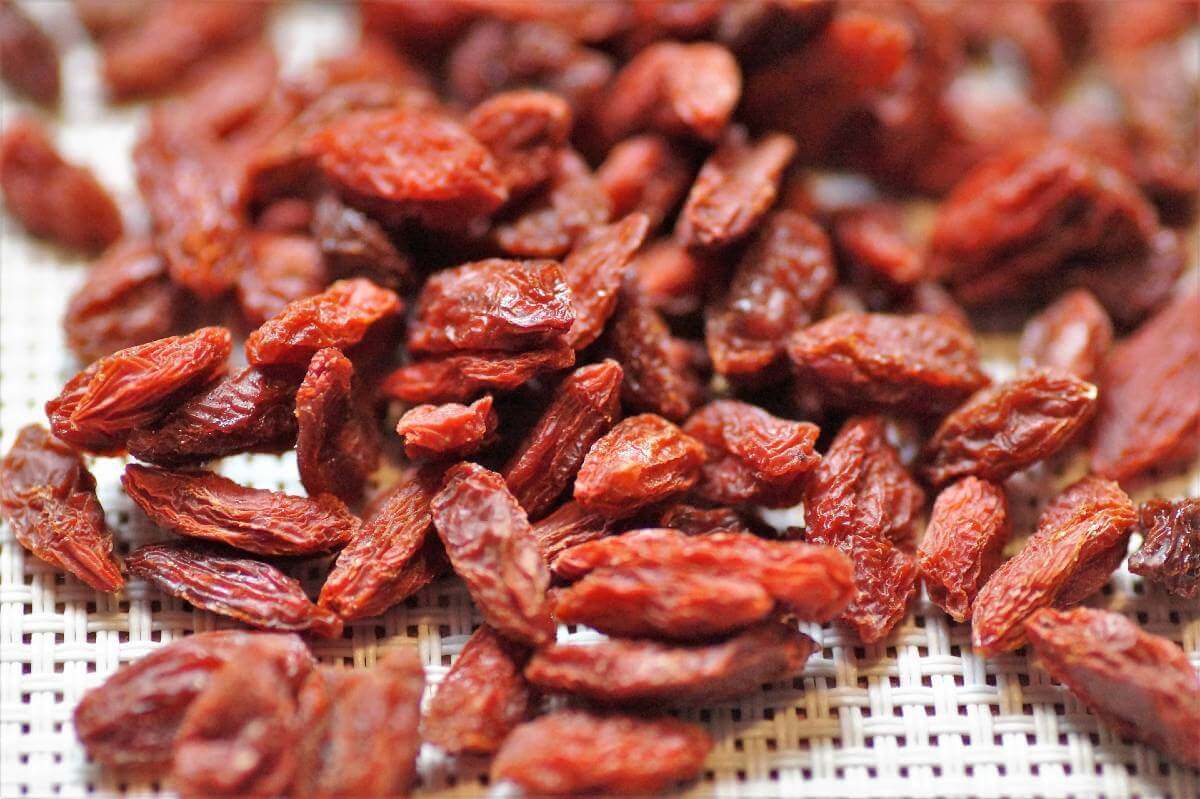 goji berry meyvesi