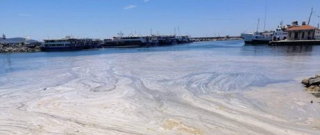 Marmara Denizi Ölüyor mu? Müsilaj Nedir?