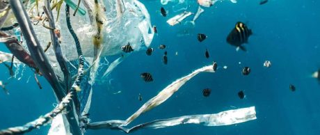 Türkiye’nin Dört Bir Yanı -Kirli- Denizlerle Çevrili!