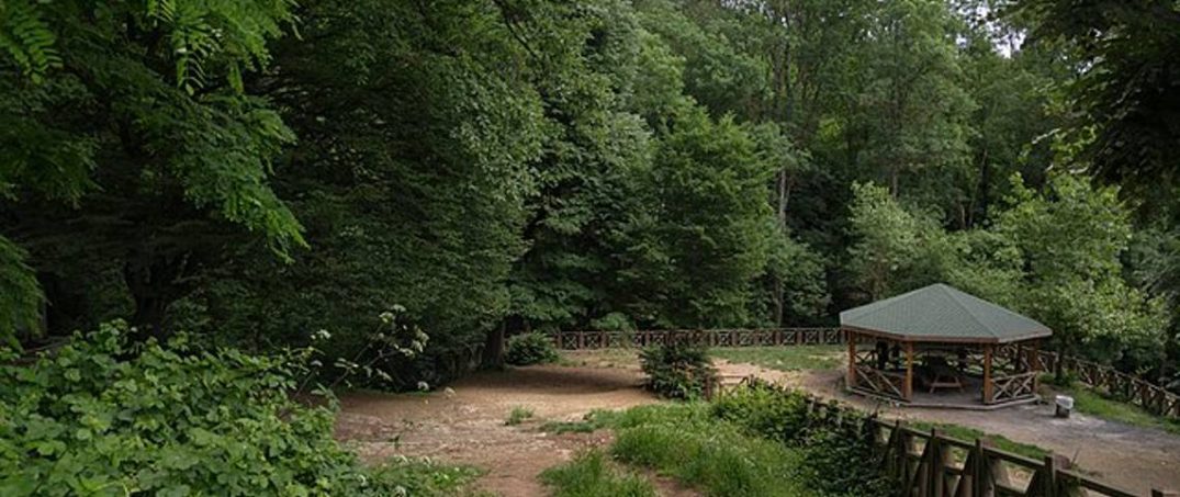 İstanbul Piknik Alanları: Şehir İçinde Doğa Kaçamağı