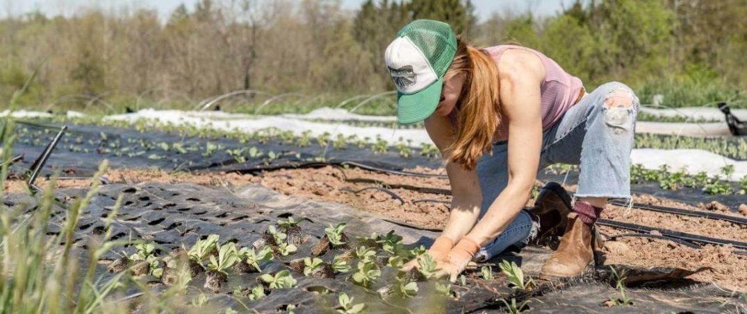 Sürdürülebilir Tarım Nedir? Nasıl Yapılır?