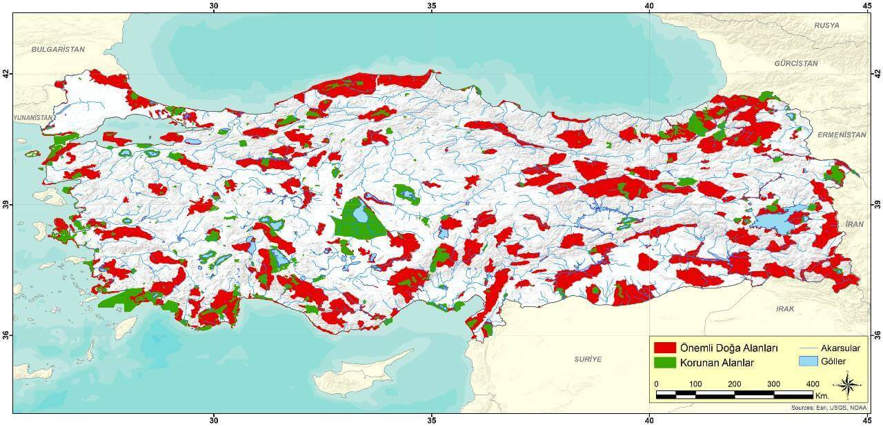 WWF Türkiye 5 Haziran Dünya Çevre Günü mesajı