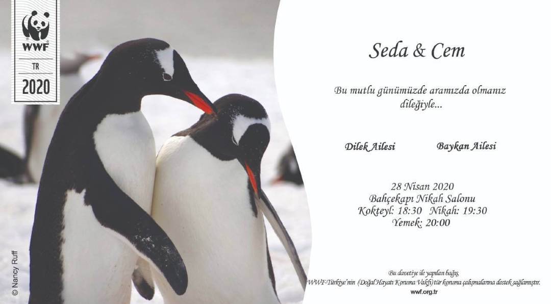 Nikah Davetiyeleriniz ve Hediyeleriniz Değer Taşısın