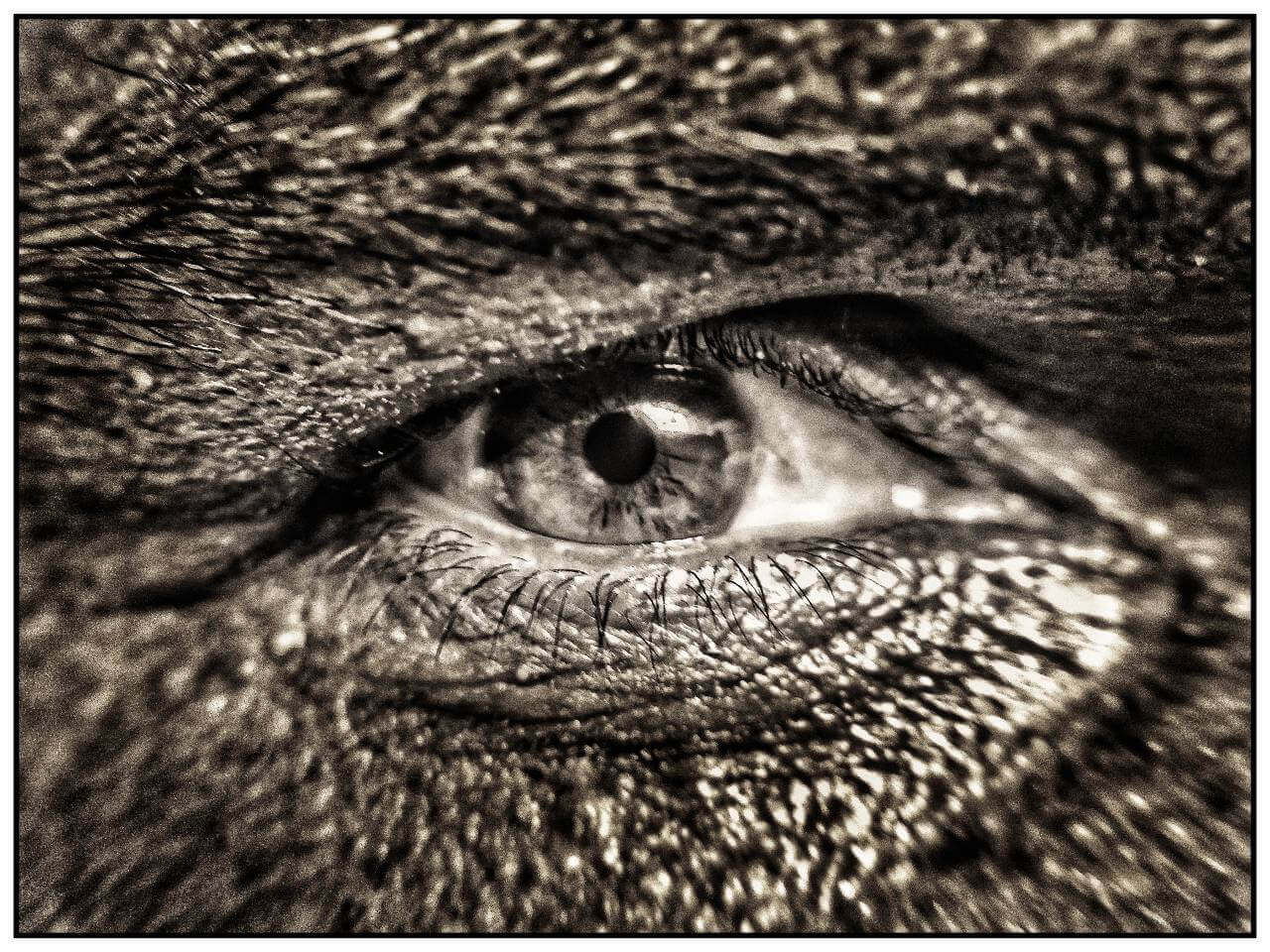 Narashima Reddy Yedula Curious