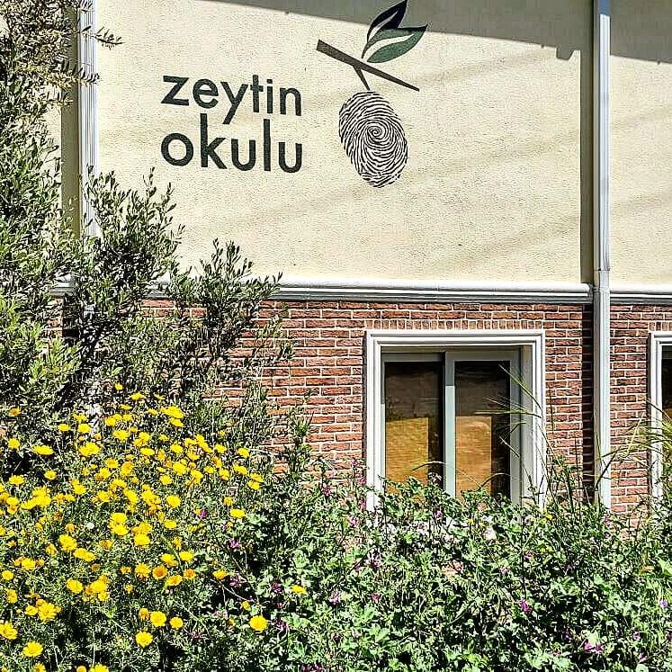 Ege bölgesi zeytin okulu