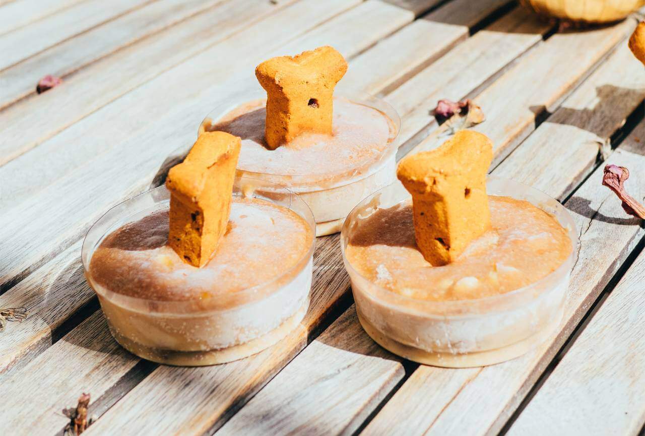 sürdürülebilir hayvan bakımı