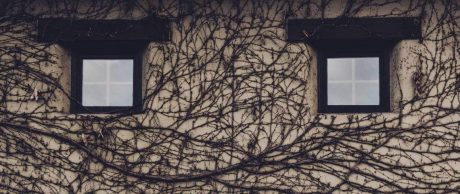 Yanlış Anlamlandırma: Pareidolia Nedir?