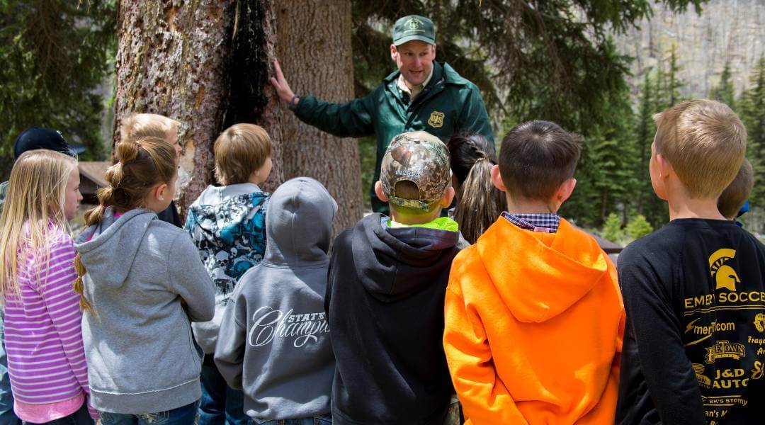 Eko Okul Nasıl Olunur?