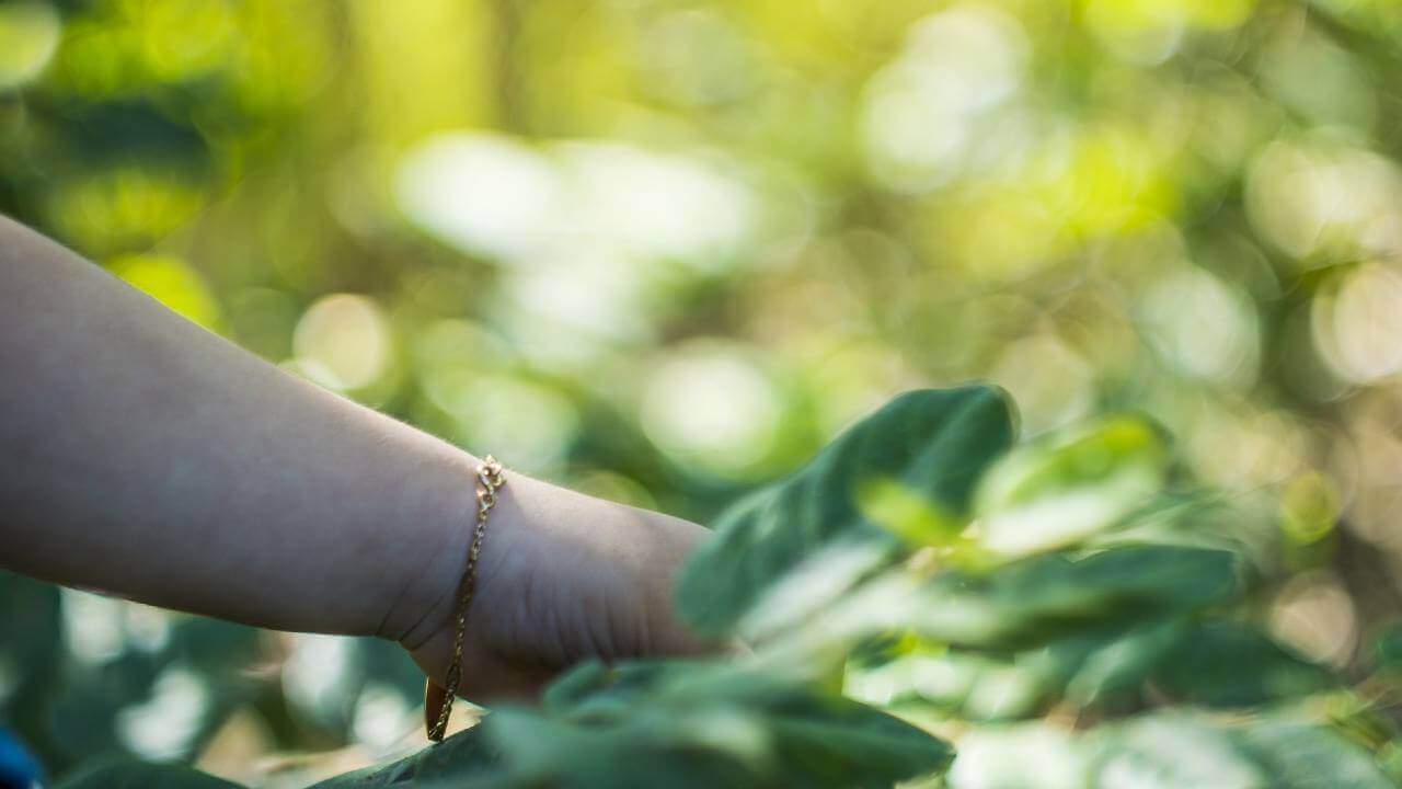 sürdürülebilirlik bilinci nasıl kazanılır