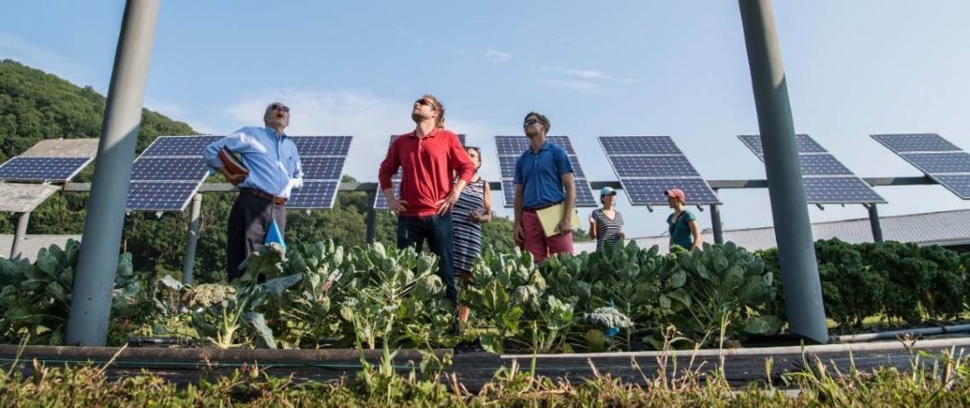 Tüketicinin Sürdürülebilirlik Talebi Üreticinin Arzını Etkiler mi?