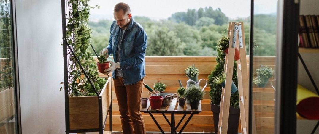 balkon bahçeciliği eylül