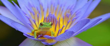 Dünyadan Umutlu Haberler - Eylül