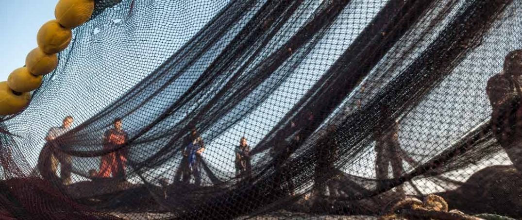 Sürdürülebilir Balıkçılık ve Seaspiracy Belgeseli