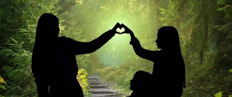 Sürdürülebilir Ormancılık Nedir?