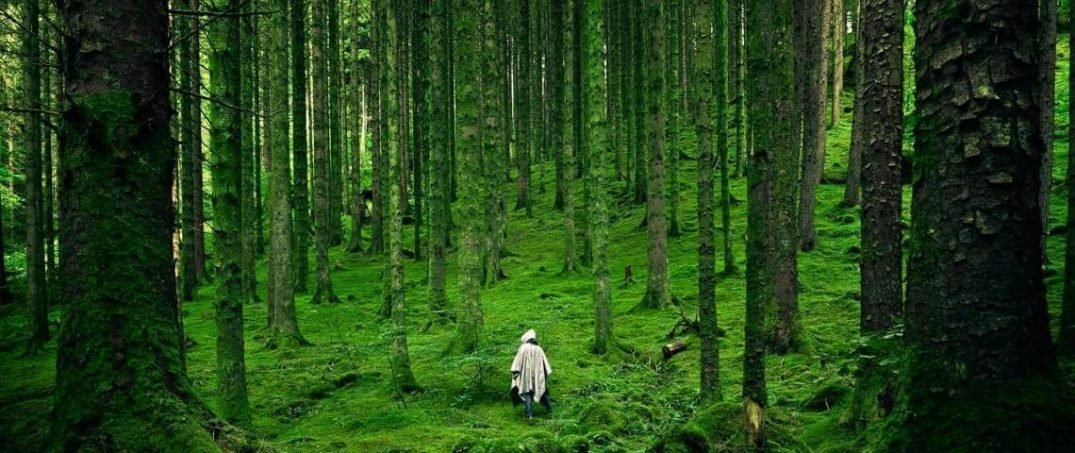 Yeşil devrim nedir?