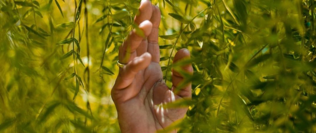 İklim Krizinin Psikolojideki Yeri