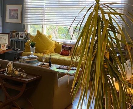 Defni Sofuoğlu’nun Davetkar Yaşam Alanı