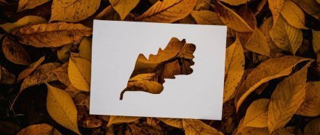 Ekolojik Sanat Nedir?