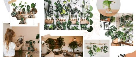 Eviniz İçin Çiçek ve Bitki Dekorasyonu Fikirleri