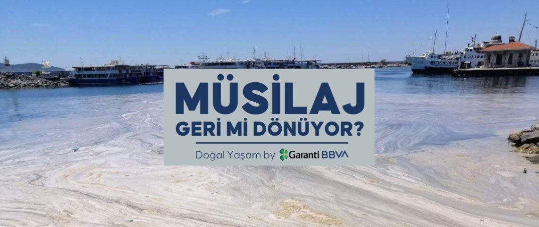 Müsilaj Geri Mi Dönüyor?
