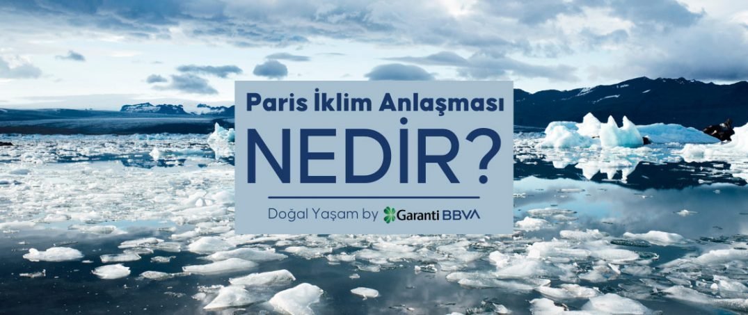 5 Soruda Paris İklim Anlaşması Nedir?
