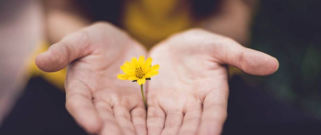 Ekolojik Krizle Feminist Mücadele Mümkün mü?