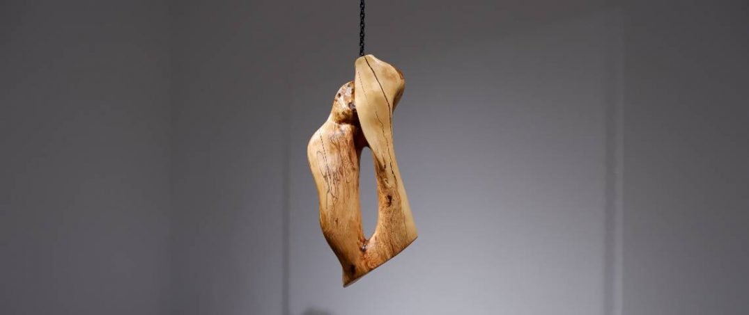 Ben Bir Zeytin Ağacı Duydum