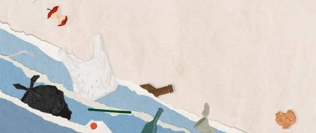 Biodegradable Ürün Etiketleri Ne Kadar Doğru?