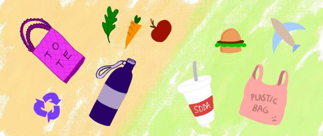 Eco Gender Gap | Eko Cinsiyet Eşitsizliği