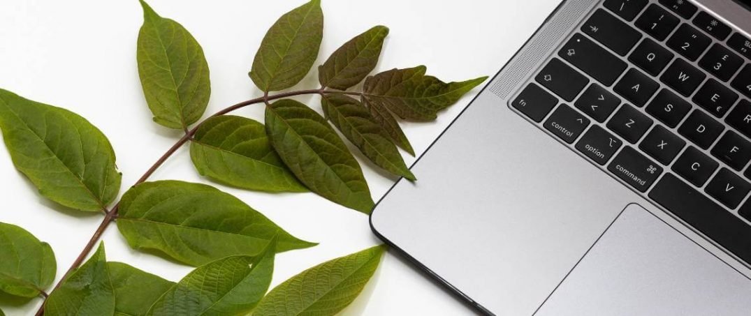 Ecosia, Sürdürülebilir Arama Motoru
