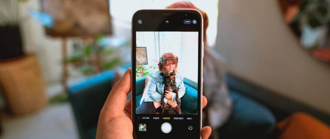 Evcil Hayvan Bakımı İçin Aplikasyon Önerileri