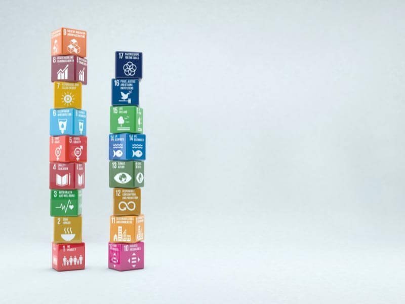 5 Adımda Sorumlu Tüketim