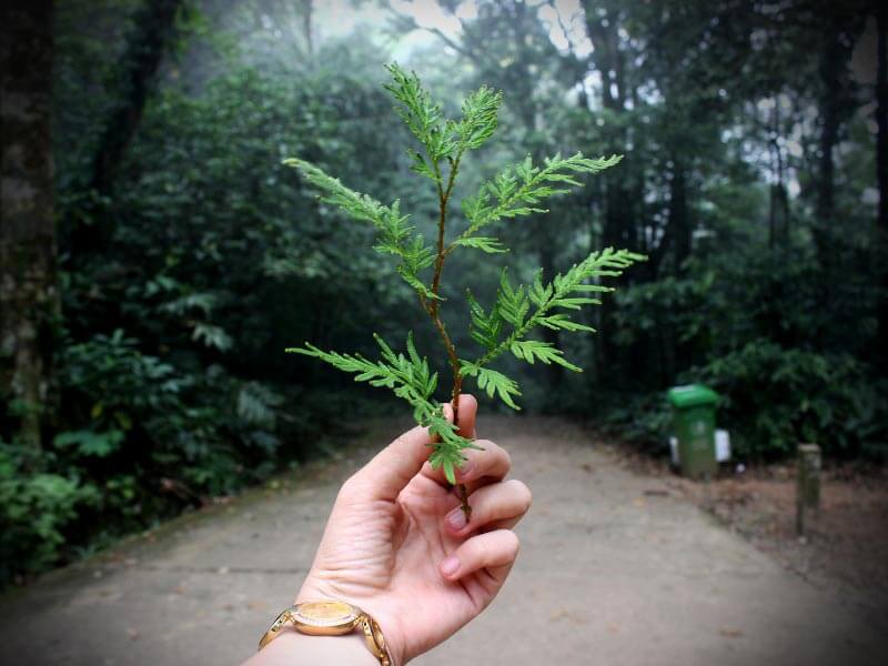 5 Adımda Sorumlu Tüketim