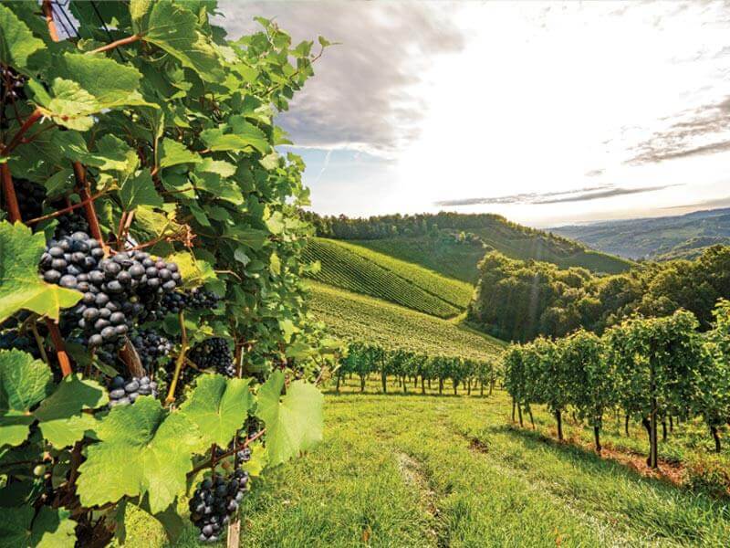 “be IT” Kampanyası, İtalyan Mutfağı ve İtalyan Olmak…