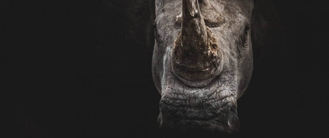 İklim Değişikliğini Konu Alan Şarkılar