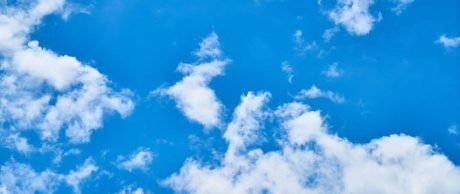 Kirli Yaşam Olur mu?