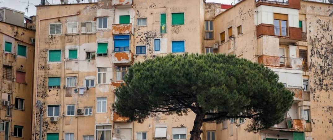 Yeşil Alanların İnsan Sağlığına Psikolojik Etkileri