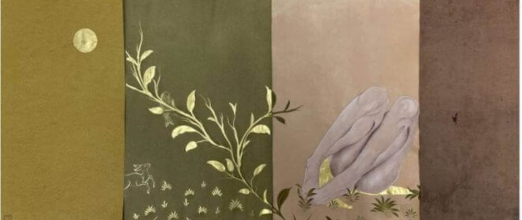 Doğadan Ödünç: Esra Karaduman Röportajı