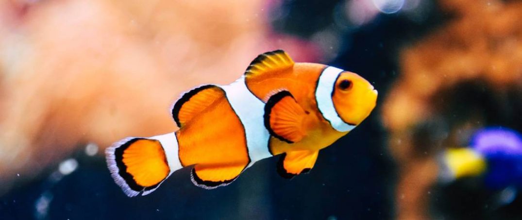 Dünyadan Umutlu Haberler | Mart